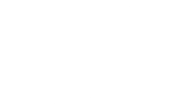 THE SIXXX LLC